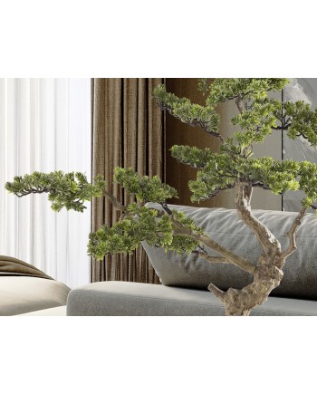 SOKAN - BONSAI 81CM